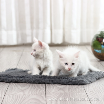 Double-Face Plush Cat Floor Anti-Slip Mat